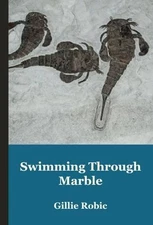 Swimming Through Marble by Gillie Robic Paperback / softback Book The Fast Free
