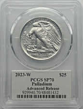 2006-W $25 Statue of Liberty, DCAM (Proof) Platinum Eagles - PCGS
