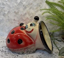 vintage kitschy ceramic handpainted ladybug  planter anthropomorphic Plants