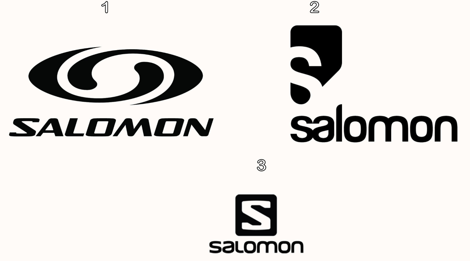 Adesivo SALOMON Sci Snowboard Freestyle X Giochi Montagna Sport SPEDIZIONE GRATUITA!