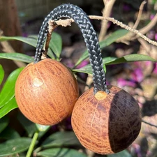 Asalato Authentic Aslatua Televi Kashaka West Africa 1 X Double Pod Shaker Mini