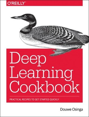 Deep Learning Cookbook by Douwe Osinga PAPERBACK 9781491995846