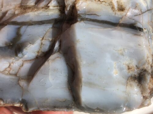 7.7 OZ MCELMO Petrified Wood Chunk Rough Lapidary Fossil Can Be Slabbed & Cabbed - Picture 11 of 20