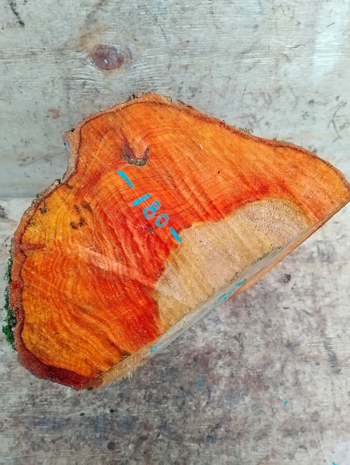 7kg Alder woodturning bowl blank,carving,craft wood,260x250x160,3🌲 eBay