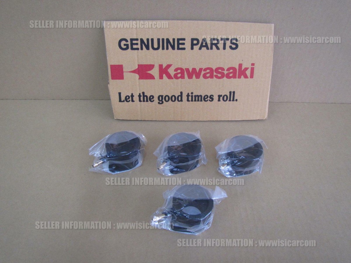 KILLER BURNER Ⅱ 4180002S1 - Carlin Combustion 4180002S1 - Ignitor for EZ Gas Burners