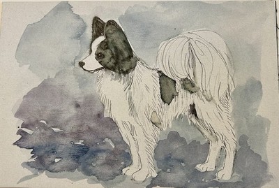 Original Watercolor Painting By Martha Van Loan Of A Papillon