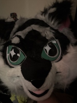 Fursuit Costume Very Small Only Fits For 160cm-170cm (Read the description)