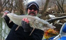 MUSKY FLIES single-hook 5/0 muskies muskie PROVEN fly fishing rods reels baits
