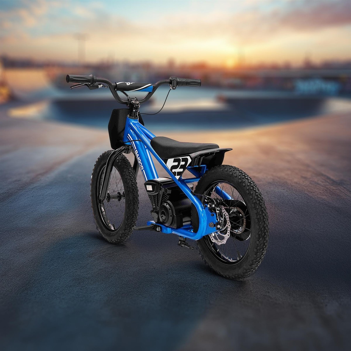 Lil Whip Age Electric Bikes For Kids RiiRoo KidCruiser Pro 250W