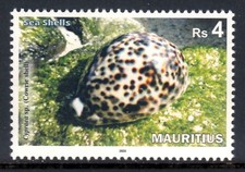 MAURITIUS 2026 SHELLS MARINE FAUNA