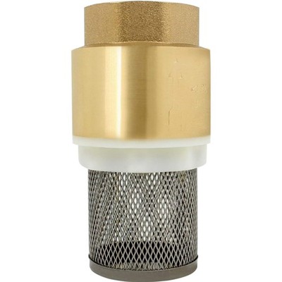 Rückschlagventil Gartenschlauch 1/2 3/4 1 1-1/4 2 Zoll Pumpe Filter