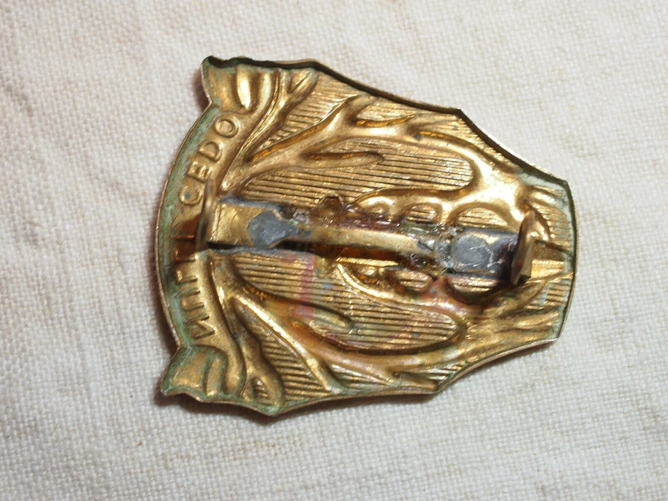 insigne armée de terre hollandaise - PAYS BAS - Netherlands insignia - Photo 2/4