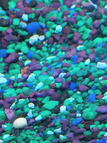 5 lbs Bag Of Used gravel (Needs Cleaning Before Use) for fish tank Multicolor'$G