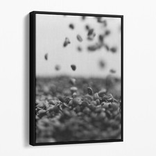 Falling Coffee Beans Black White Kitchen Canvas Wall Art Print