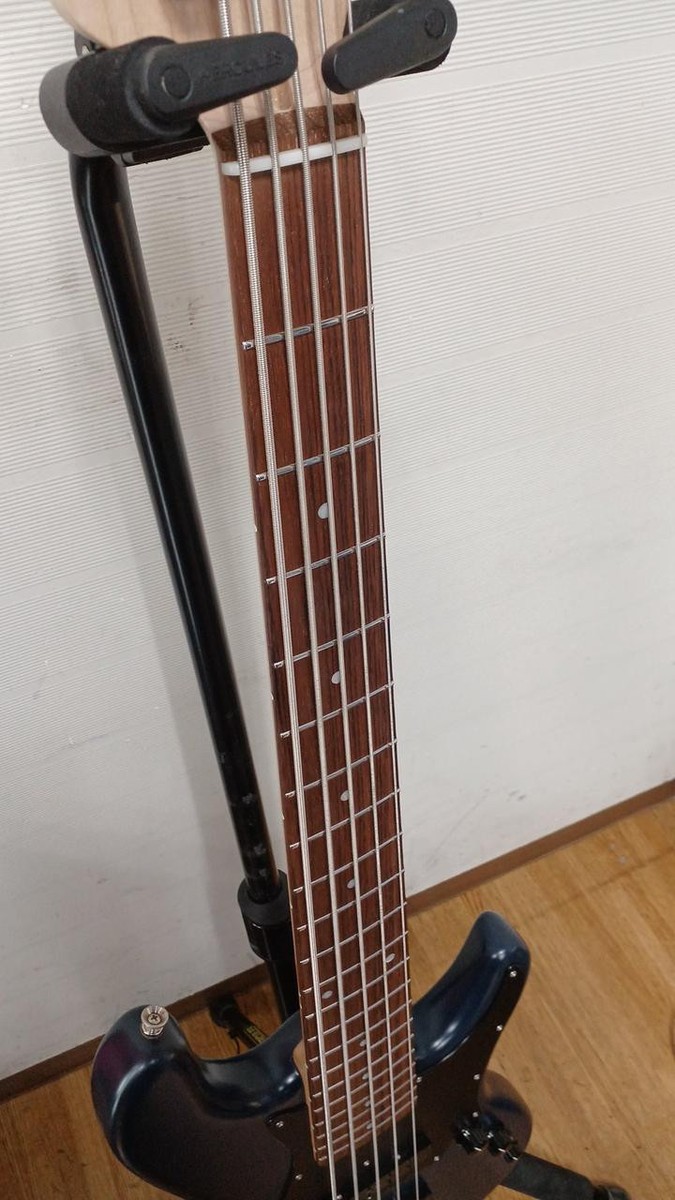 FREEDOM CUSTOM GUITAR RESEARCH ANTHRA 5ST JAZZ BASS 295493 FREEDOM CUSTOM GUITAR RESEARCH ANTHRA 5ST JAZZ BASS 295493