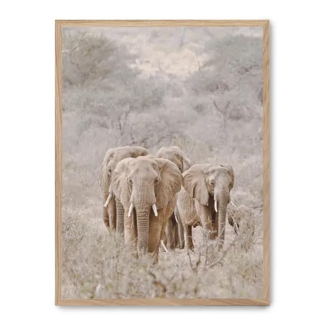 Cuadro elephant herd i_FASE5 (M4p)