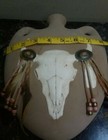 Picture 2 of 4
