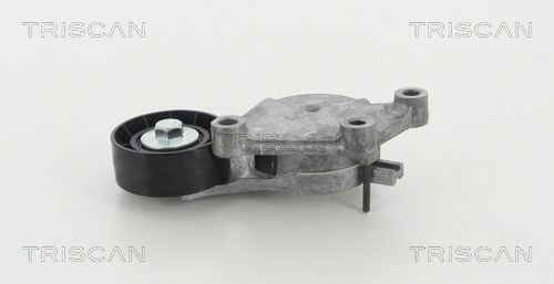 Triscan Spannrolle, Keilrippenriemen 8641 273006 FüR Ford Volvo-image