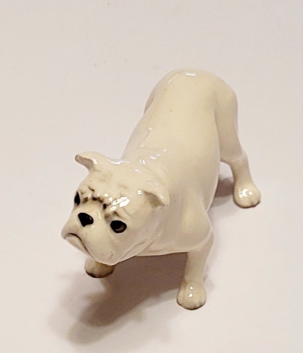 Foto 1 di 6