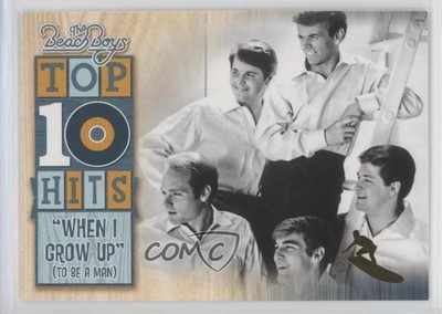 2013 The Beach Boys 50th Anniversary Top 10 Hits Gold Surfer When I Grow Up y0i