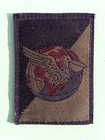 Velcro patch patch 1st Logistics Brigade low visibility - pelican