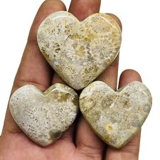 3 Pcs Natural Fossil Coral 30-37mm Huge Heart Shape Loose Cabochon Gemstones