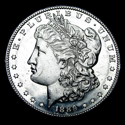 1889-S Morgan Dollar Silver ----  Gem BU+ PL Stunning Coin ---- #987K