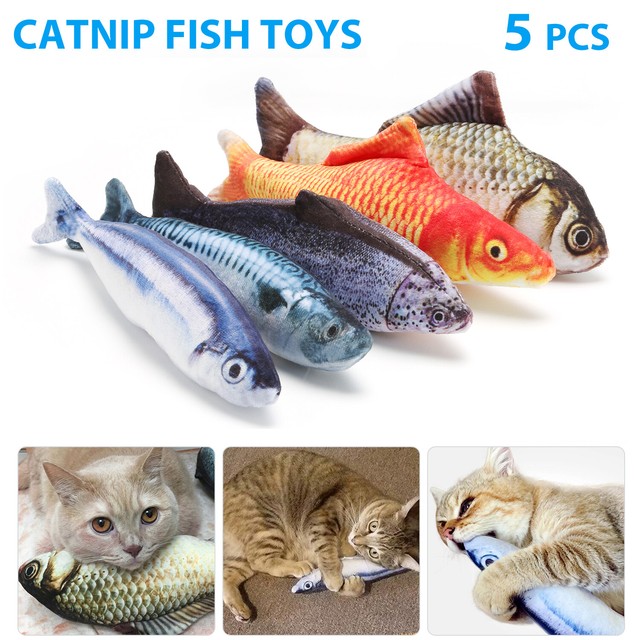 cat toys online