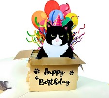 Black Cat Birthday Card, Funny Card for Women, Wife, Mom, Box