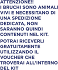 Foto 2 di 12