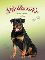 Holzschild 40X30 Cm Hund Rottweiler Deutschland 1850 Deko Geschenk Holz Schild