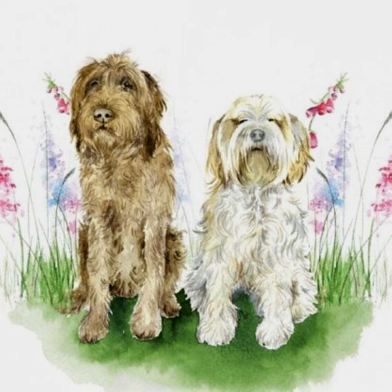 Enjoying the garden - Dogs Plantable Seed Card Sarah Reilly, Love Country