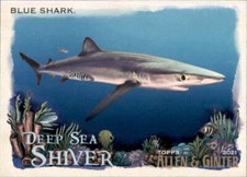 2021 Allen and Ginter Deep Sea Shiver #DSS-5 Blue Shark 
