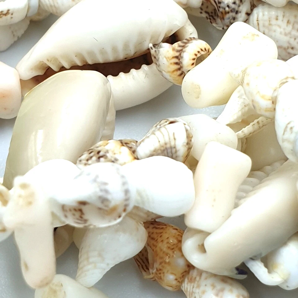 Collana vintage anni '70 con conchiglie corallo bianco argento 925 Made in Italy - Immagine 4 di 4