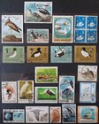 BIRDS. WATERFOWL. WATERBIRDS. COLLECTION. 93 STAMPS. Extra Fine. LOT IN GERMANY — photo 7