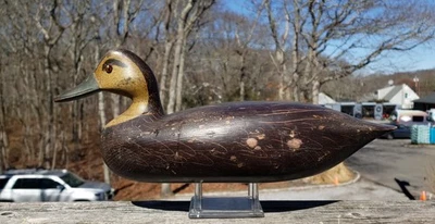 CA 1930er HOLO BLACK DUCK DECOY CHARLES LEWIS OCEAN CITY NEW JERSEY O.P.?? - Bild 1 von 4
