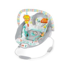 Bright Starts Comfy Baby Bouncer Soothing Vibrations Infant Seat - ... Fast Ship