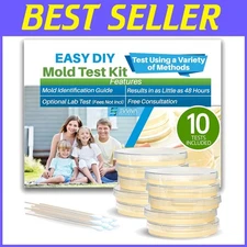 10-in-1 Mold Detection Kit - Essential Home Testing with Optional Lab Analysis