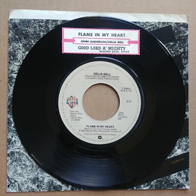 DELIA BELL Flame In My Heart 45 7'' COUNTRY Record Vinyl Warner Bros. Records