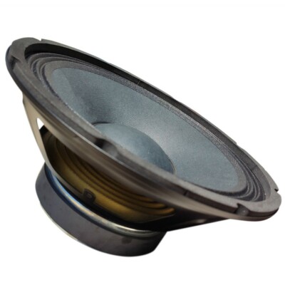 1 Woofer Master Audio Pa10/4 250 MM 10 '' Scheinwiderstand 4 Ohm Home Scheibe Dj
