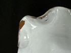 Picture 7 of 12