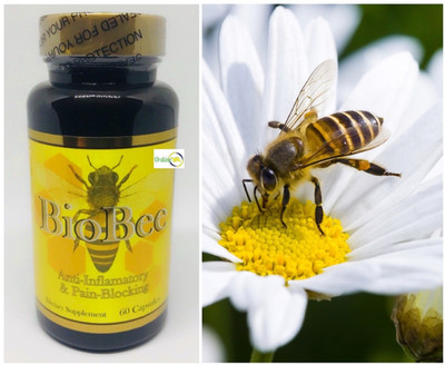 Biobee with Apitoxin 60 Capsules | Bee Venom Formula | Dietary Supplement