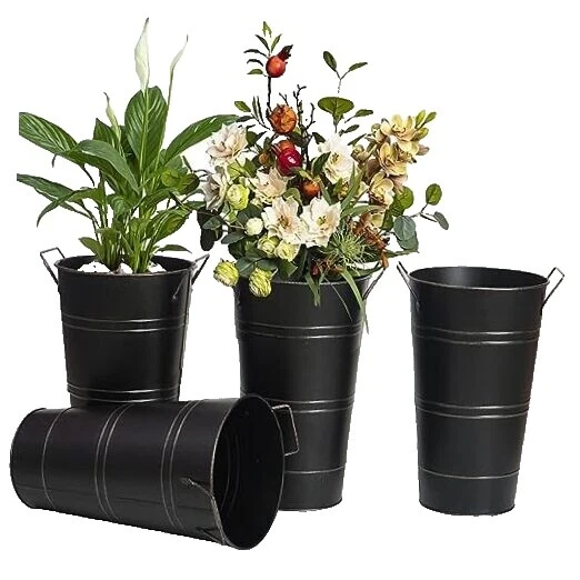 Jarrones Negro país francés