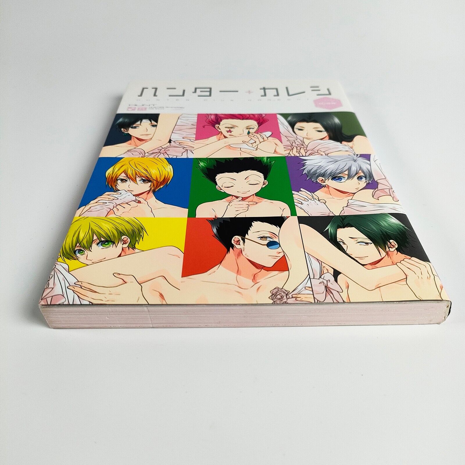 HUNTER X HUNTER Anthology 2 Books Comic Set Hunter + Kareshi / Kiss Anime  Japan