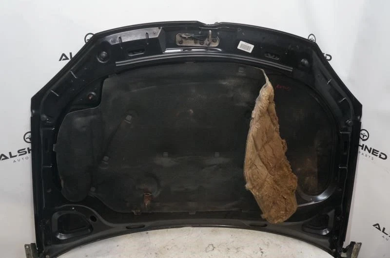 *LEER* Panel capó Volkswagen Golf GTI 2007 5K0823031G fabricante de equipos originales Foto 2 de 4