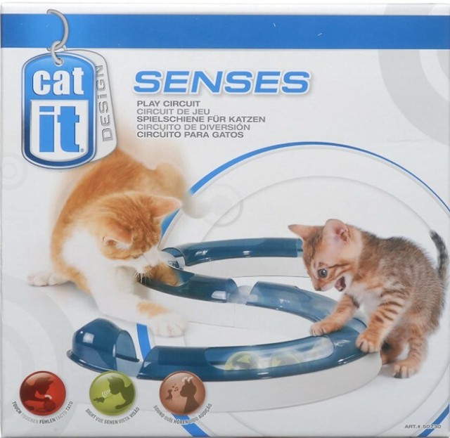 cat it senses play circuit