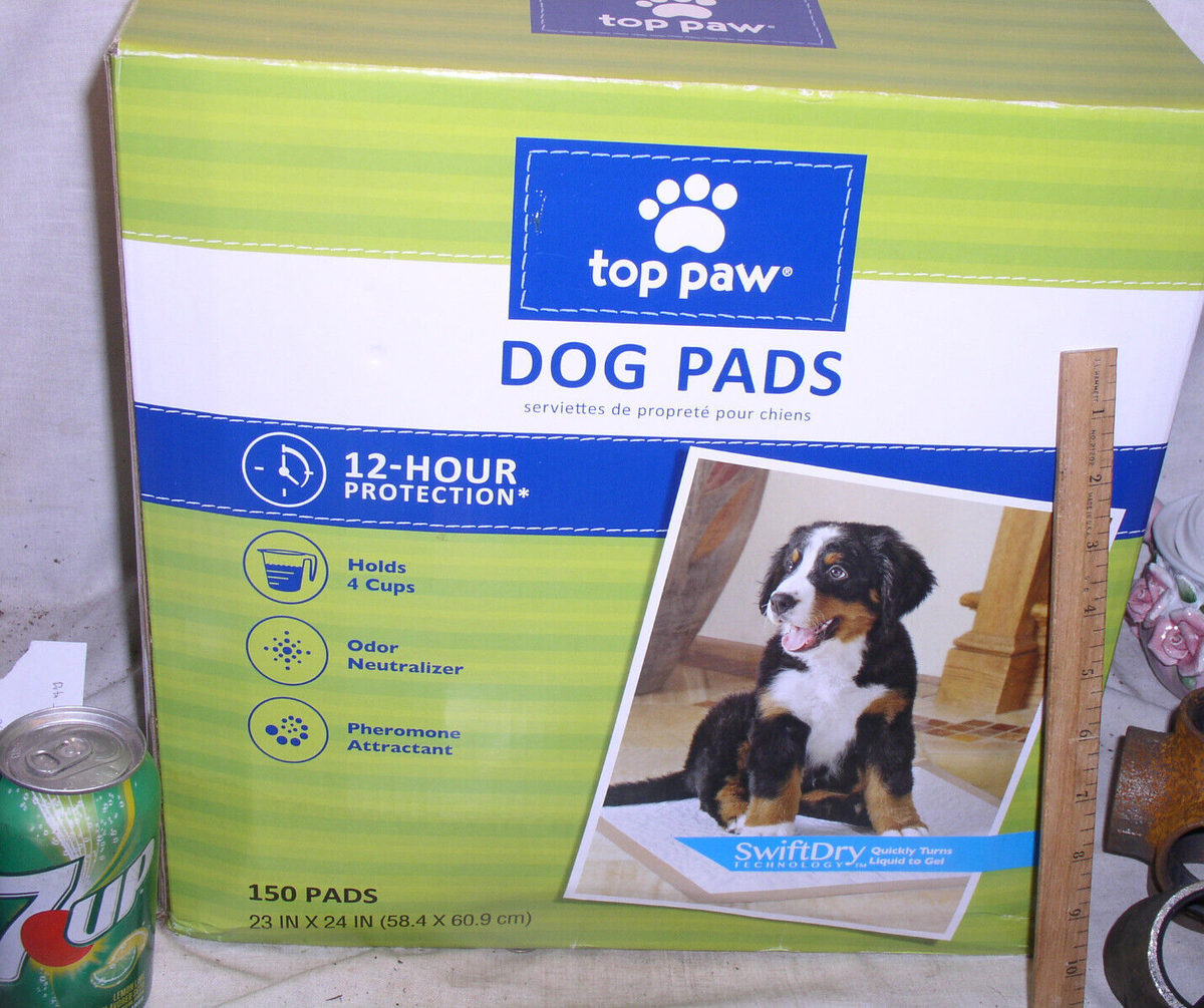 Puppy Pads Indoor Dog Potty Petsmart Petsmart Pet Potty Pads Pet