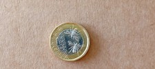 2025 One Pound £1 King Charles lll Bee Design - Circulated Coin