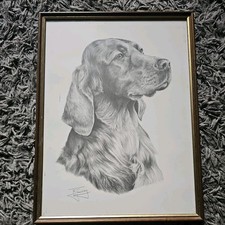 Framed Irish Setter Large Superb Quality Giclee Print by Mike Sibley Collectable