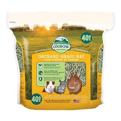 Oxbow Animal Health Orchard Grass Hay - All Natural Grass Hay 40 oz.